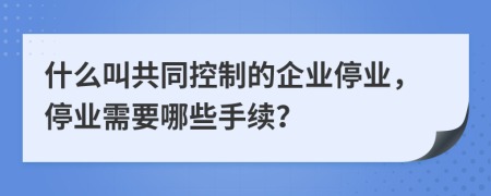 什么叫共同控制的企业停业，停业需要哪些手续？