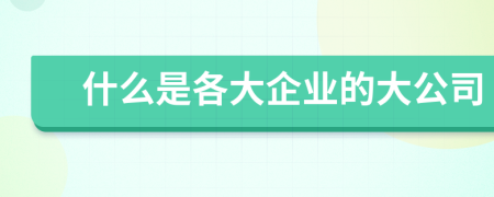 什么是各大企业的大公司