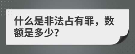 什么是非法占有罪，数额是多少？