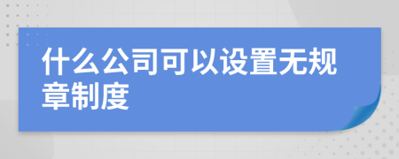 什么公司可以设置无规章制度