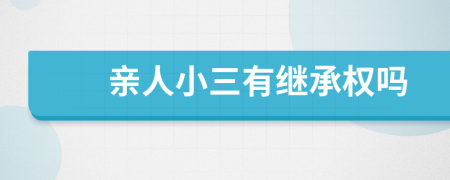 亲人小三有继承权吗