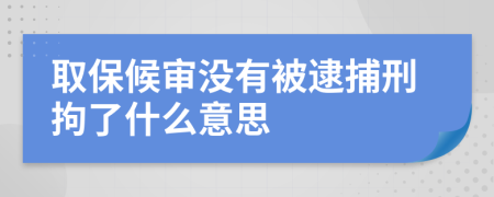 取保候审没有被逮捕刑拘了什么意思