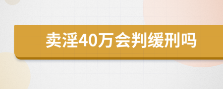 卖淫40万会判缓刑吗