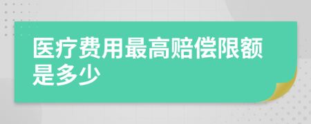 医疗费用最高赔偿限额是多少