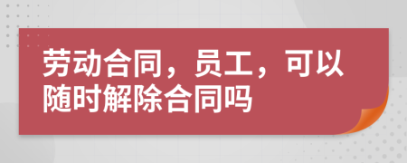 劳动合同，员工，可以随时解除合同吗