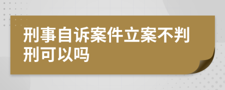 刑事自诉案件立案不判刑可以吗