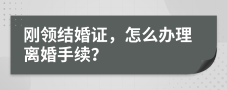刚领结婚证，怎么办理离婚手续？