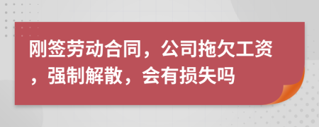 刚签劳动合同，公司拖欠工资，强制解散，会有损失吗