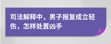 司法解释中，男子报复成立轻伤，怎样处置凶手