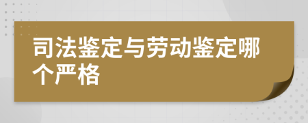 司法鉴定与劳动鉴定哪个严格