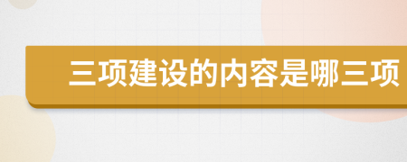 三项建设的内容是哪三项