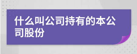 什么叫公司持有的本公司股份