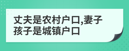 丈夫是农村户口,妻子孩子是城镇户口