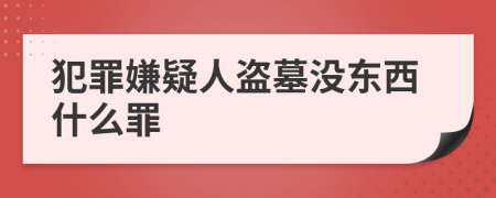 犯罪嫌疑人盗墓没东西什么罪