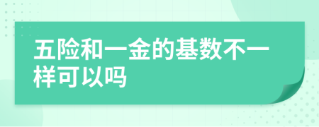 五险和一金的基数不一样可以吗