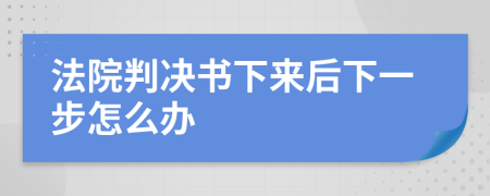 法院判决书下来后下一步怎么办