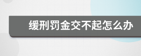 缓刑罚金交不起怎么办