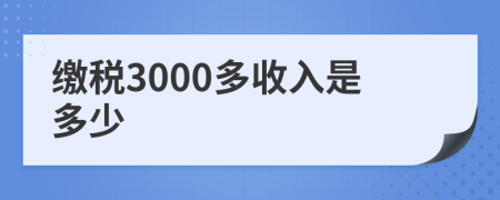 缴税3000多收入是多少