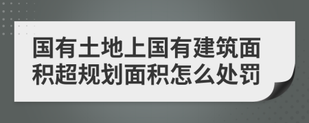 国有土地上国有建筑面积超规划面积怎么处罚