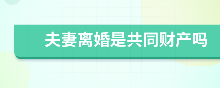 夫妻离婚是共同财产吗