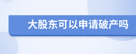 大股东可以申请破产吗