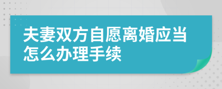 夫妻双方自愿离婚应当怎么办理手续