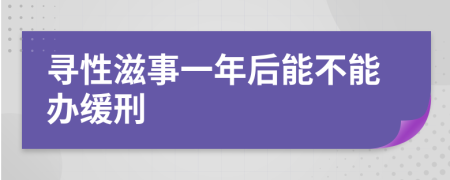 寻性滋事一年后能不能办缓刑