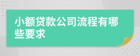 小额贷款公司流程有哪些要求