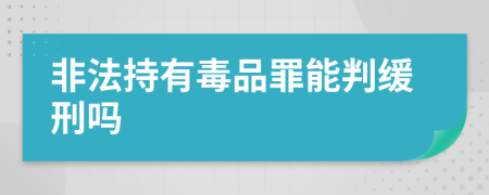 非法持有毒品罪能判缓刑吗