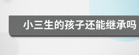 小三生的孩子还能继承吗