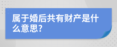 属于婚后共有财产是什么意思?