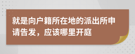 就是向户籍所在地的派出所申请告发，应该哪里开庭