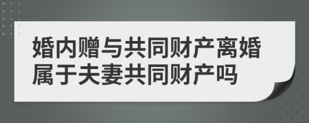 婚内赠与共同财产离婚属于夫妻共同财产吗