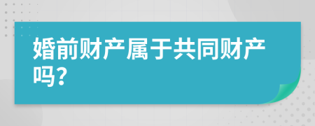 婚前财产属于共同财产吗？