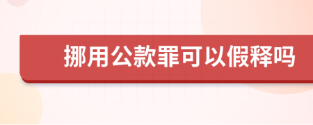 挪用公款罪可以假释吗