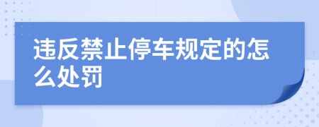 违反禁止停车规定的怎么处罚