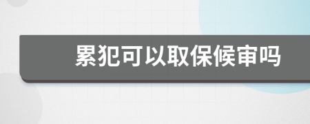 累犯可以取保候审吗