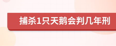 捕杀1只天鹅会判几年刑