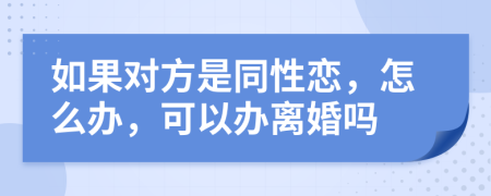 如果对方是同性恋，怎么办，可以办离婚吗