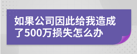 如果公司因此给我造成了500万损失怎么办