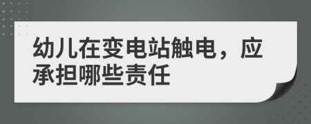 幼儿在变电站触电，应承担哪些责任