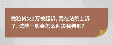 微粒贷欠2万被起诉, 我在法院上诉了, 法院一般会怎么判决我判刑?