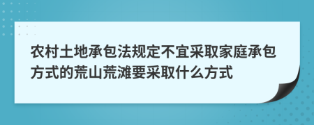 农村土地承包法规定不宜采取家庭承包方式的荒山荒滩要采取什么方式