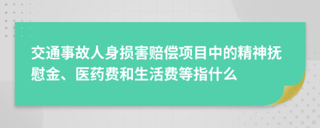 交通事故人身损害赔偿项目中的精神抚慰金、医药费和生活费等指什么