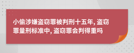 小偷涉嫌盗窃罪被判刑十五年, 盗窃罪量刑标准中, 盗窃罪会判得重吗