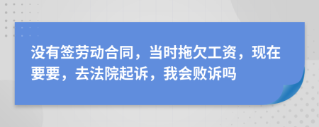 没有签劳动合同，当时拖欠工资，现在要要，去法院起诉，我会败诉吗