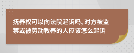 抚养权可以向法院起诉吗, 对方被监禁或被劳动教养的人应该怎么起诉