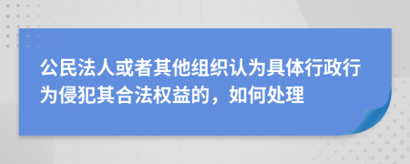 公民法人或者其他组织认为具体行政行为侵犯其合法权益的，如何处理