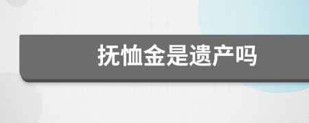 抚恤金是遗产吗