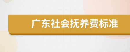 广东社会抚养费标准